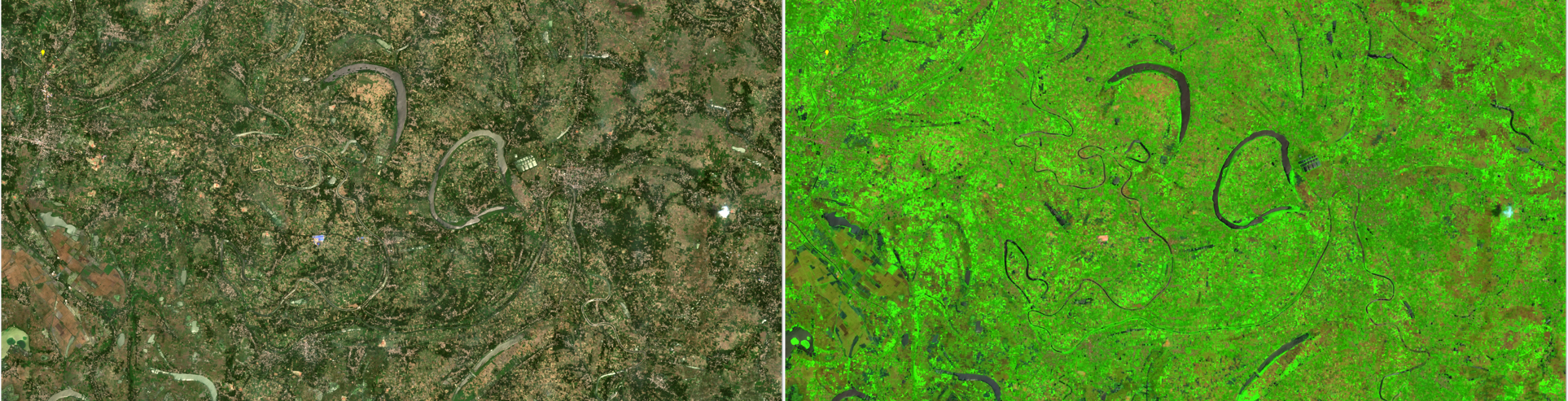  Farmers and cotton stakeholders in Bangladesh will use novel cotton mapping data products derived from Sentinel-2 images in a feasibility study run by CottonConnect and Assimila. Access to a wealth of climate and satellite data such as Sentinel-2 data is key to generating actionable information that will help farmers to make a step change in the way they manage their environment, including understanding and tackling the effects of climate change and safeguarding their health and wellbeing. Sentinel-2 images, like these from the Chuadanga district, Khulna Division in Bangladesh taken on 3 June this year, are offering a new perspective on land and vegetation. Assimila will use these images to derive up-to-date information cotton growing areas in Bangladesh that will be used to identify changes where, for example, extreme temperature or precipitation have had an effect. The true colour Sentinel-2 images uses bands which roughly correspond to red, green, and blue on the colour spectrum, and the result looks like the world as humans see it. The false-colour image allows humans to visualize wavelengths that the eye cannot see and are particularly useful to identify crops such as cotton and assess their current state. In this, healthy dense vegetation appears in bright green and bare soil in dark brown. 