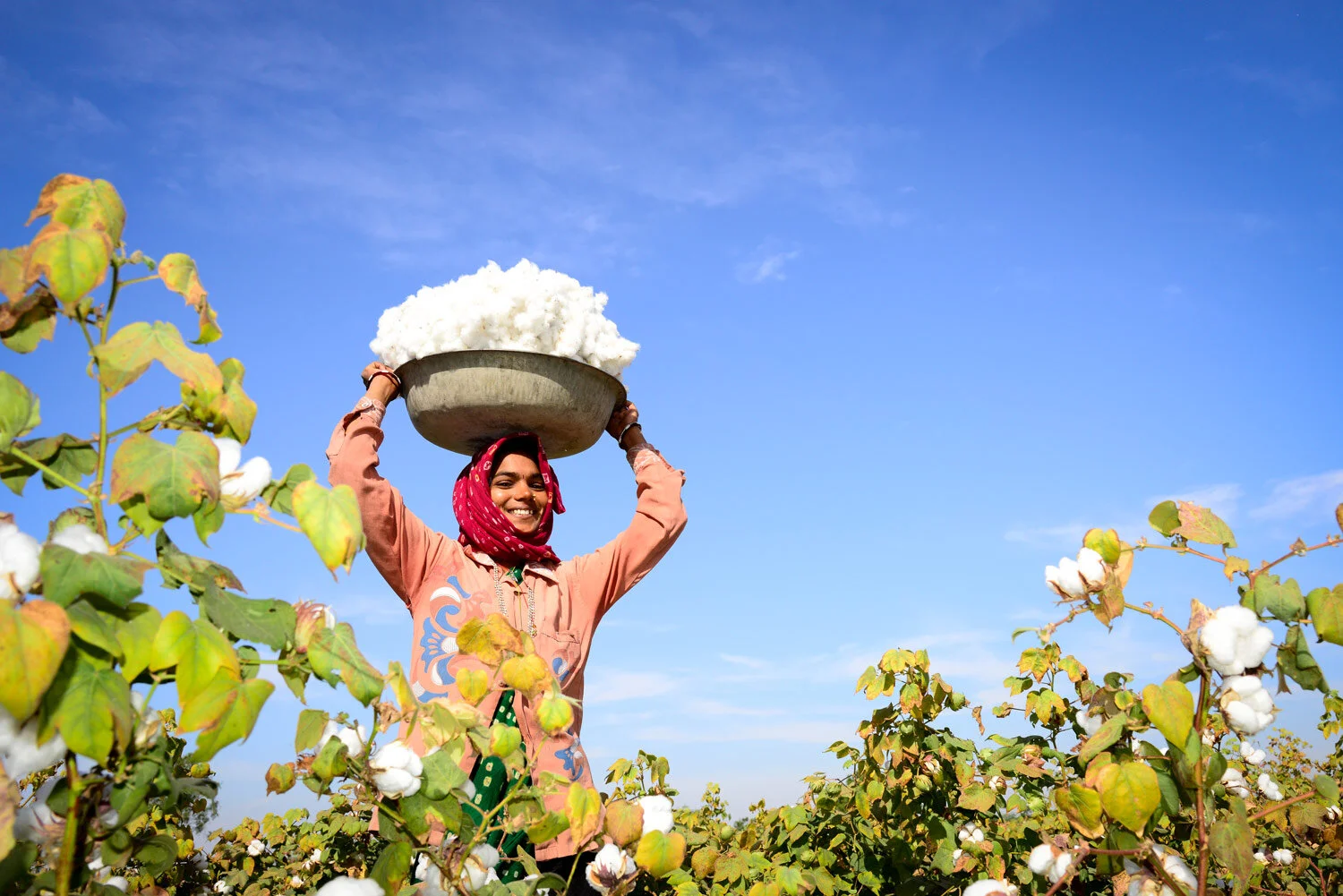  Indian lady smiling whilst holding a bowl of cotton over her head 