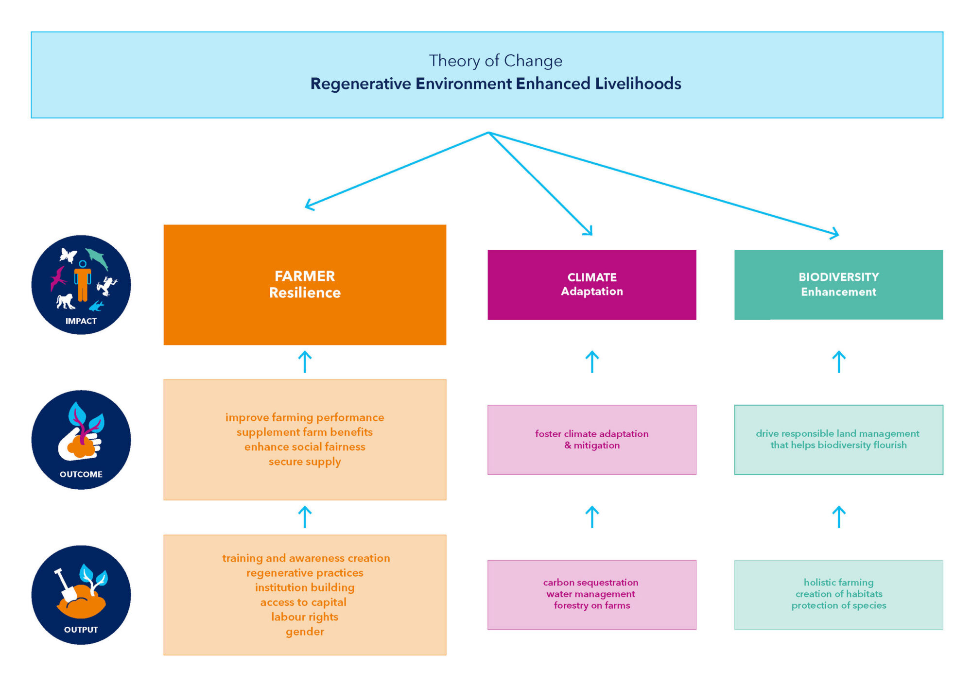  The CottonConnect Theory of Change. 