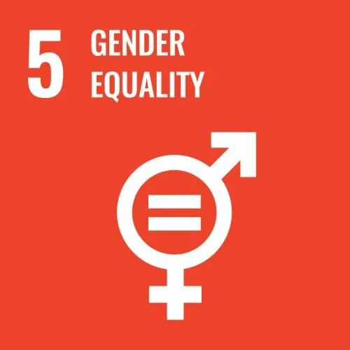 UN SDGS 5 Icon
