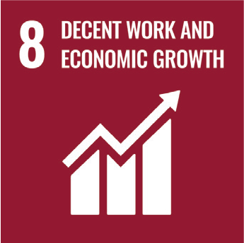 DDecent work and economic growth icon